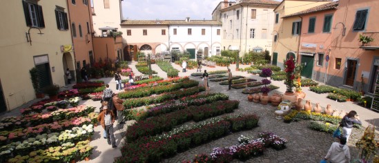 Altopascio in Fiore